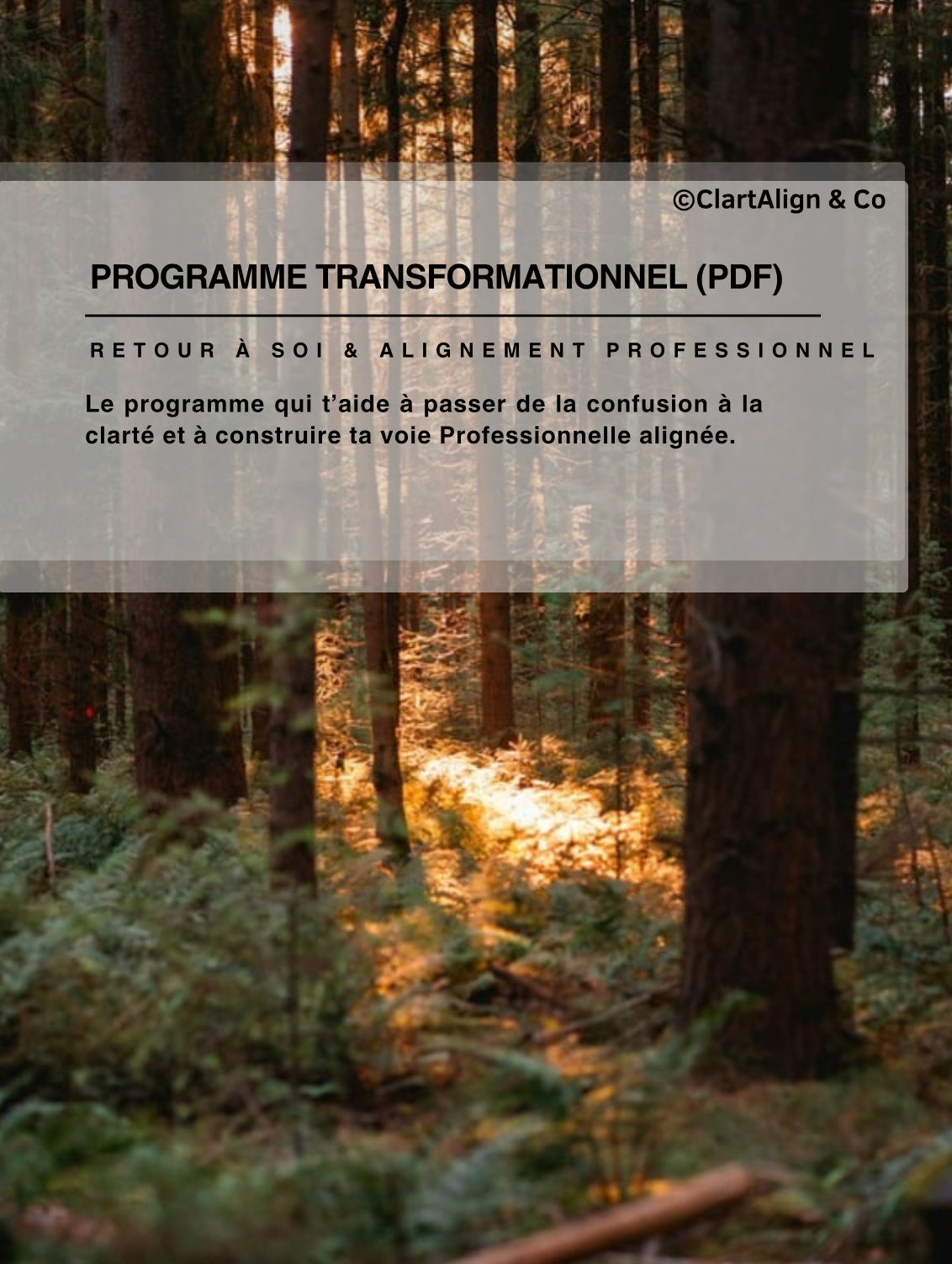 Programme Transformationnel (PDF) - Retour à soi & Alignement Professionnel